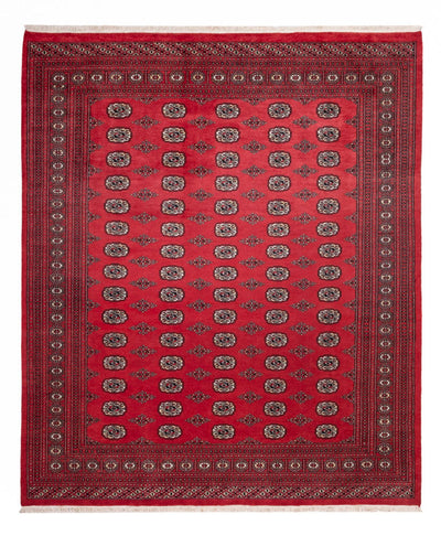 Bukhara Mattan 246x305cm - Oriental Carpet