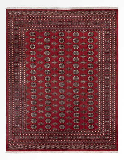 Pakistanska mattan 248x318cm - Oriental Carpet