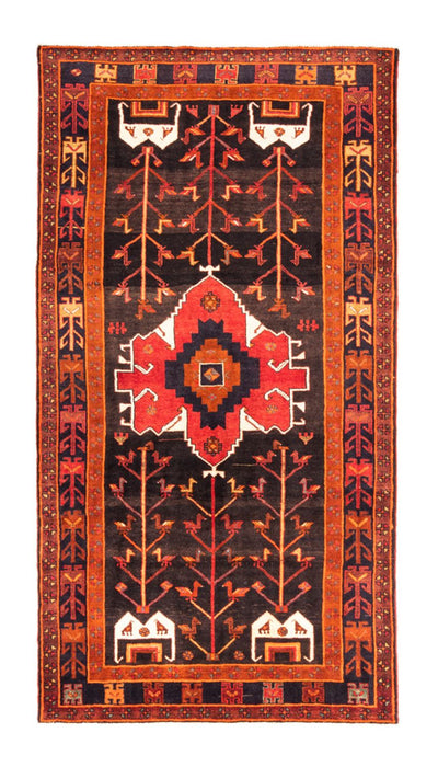 Kolyai Mattan 162x303cm - Persisk matta