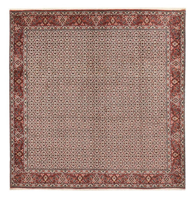 Bidjar Mattan 304x306cm - Persisk matta