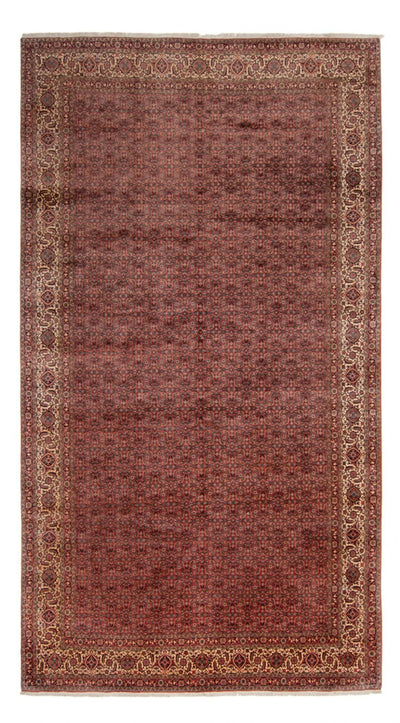 Bidjar - Takab Mattan 256x482cm - Persisk matta