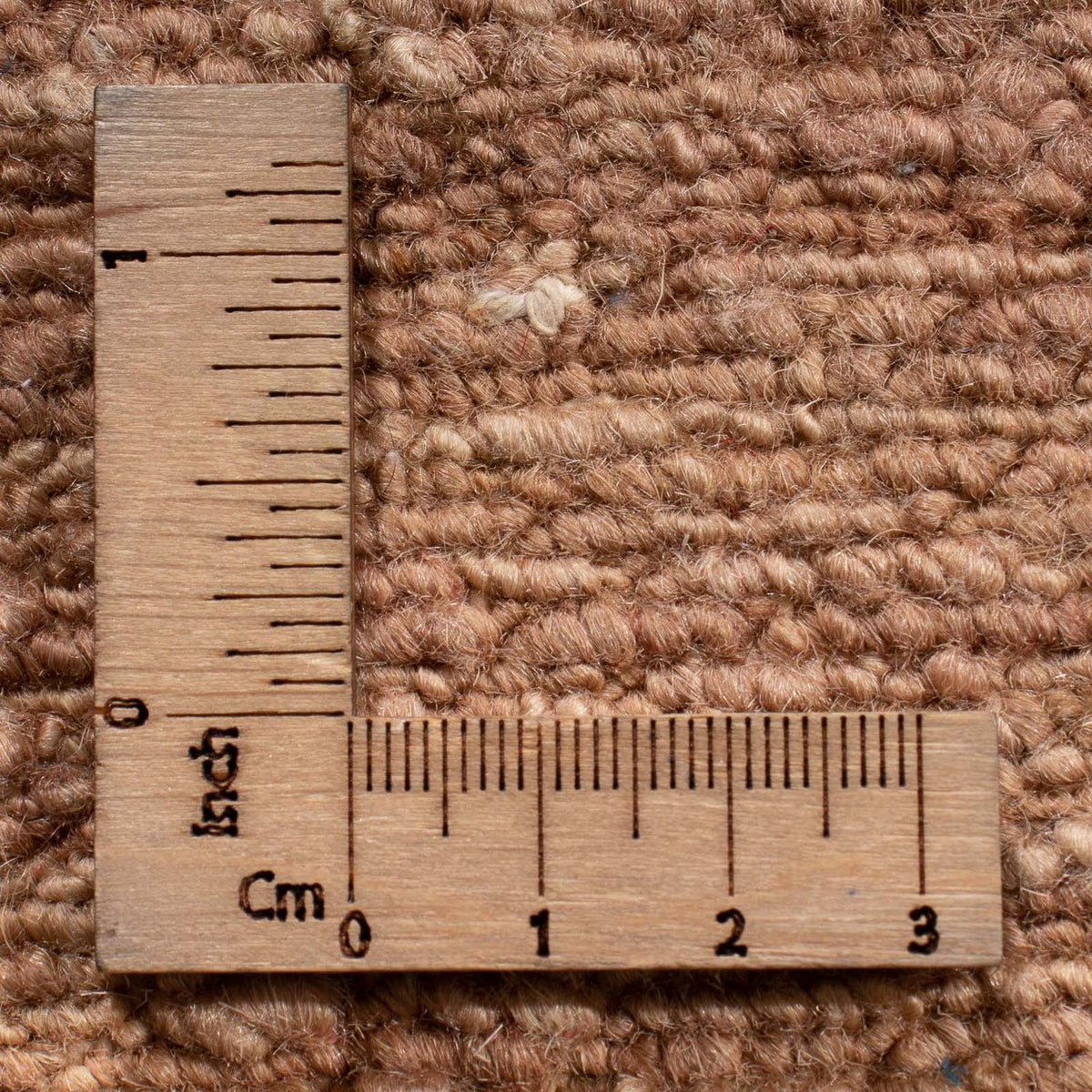 Ziegler Carpet - Modern - 300 x 200 cm - beige