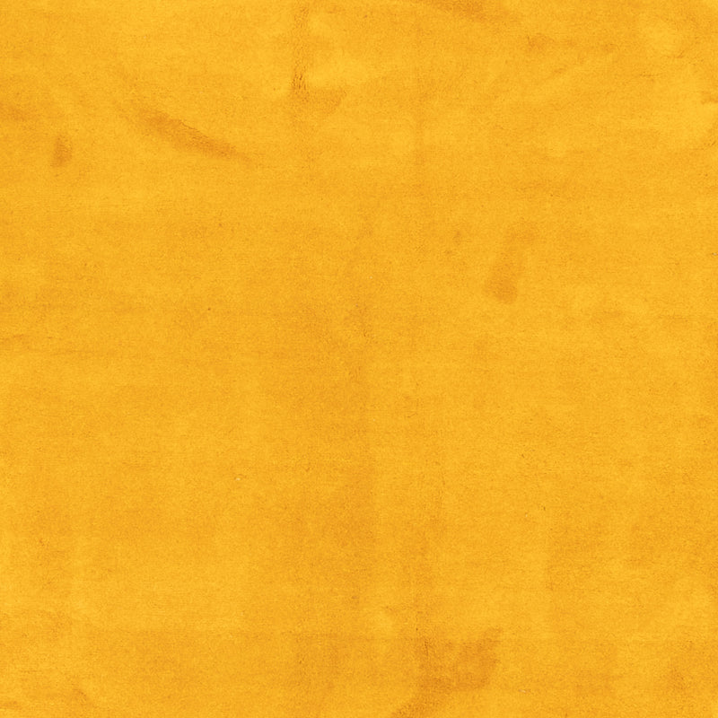 Gabbeh-matta - Indus - 389 x 300 cm - guld