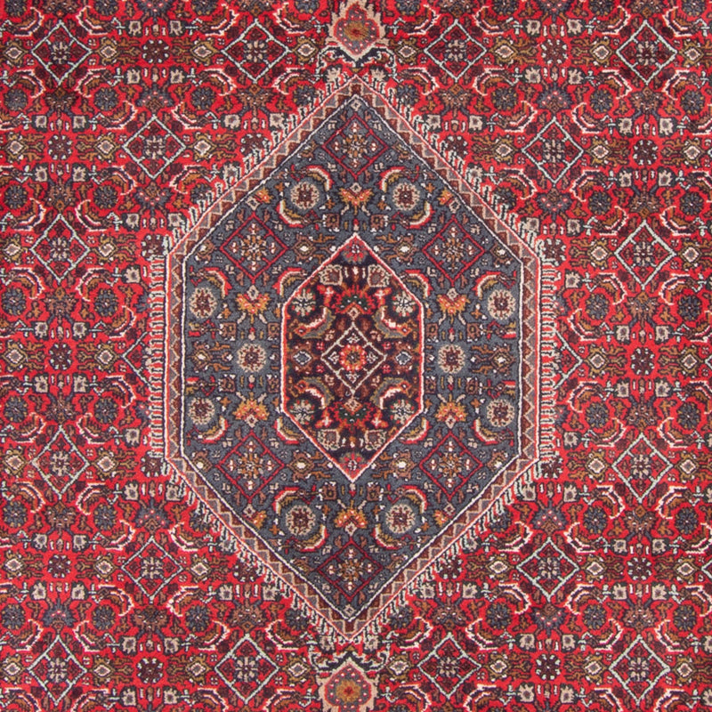 Orientaliska mattor - Bijar - Indus - 338 x 251 cm - röd