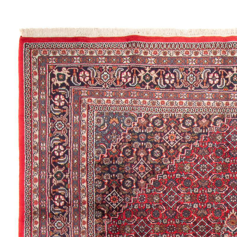 Orientaliska mattor - Bijar - Indus - 338 x 251 cm - röd