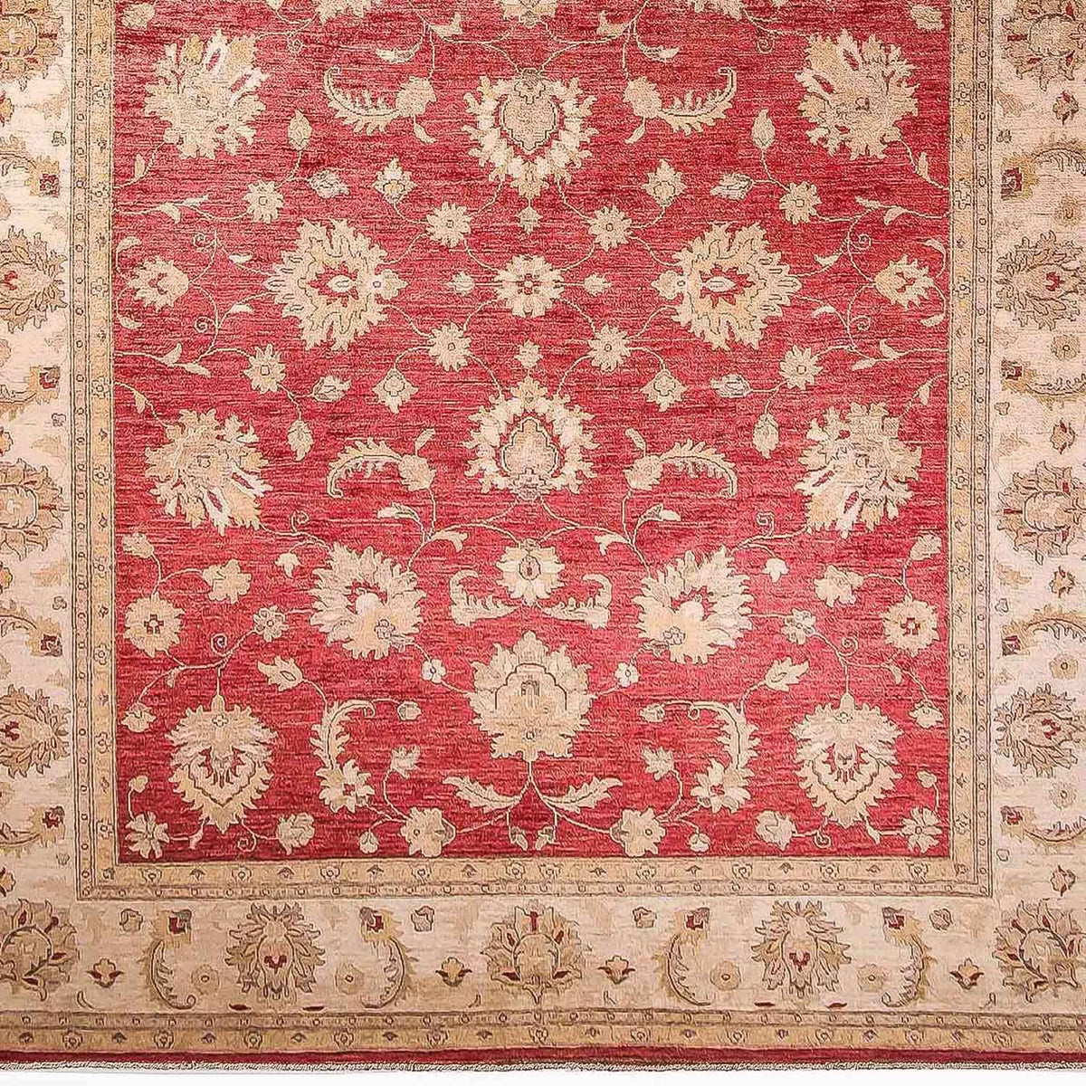 Ziegler Carpet - 353 x 277 cm - röd
