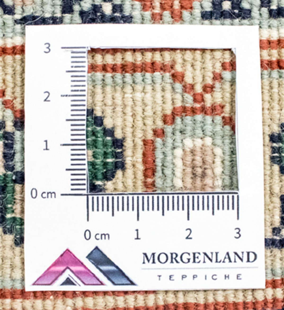 Oriental Carpet - 305 x 240 cm - beige