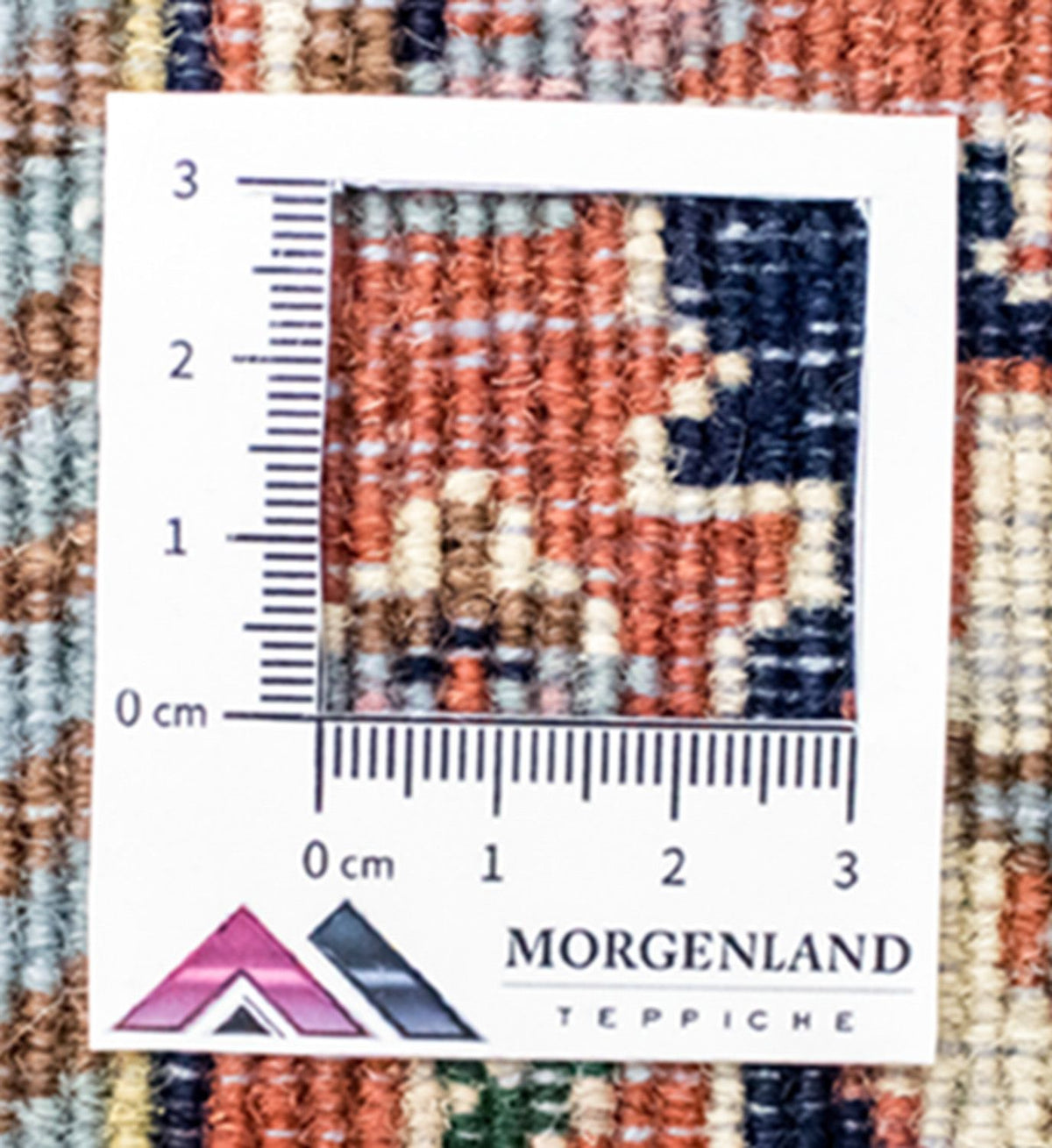 Oriental Carpet - 350 x 256 cm - beige