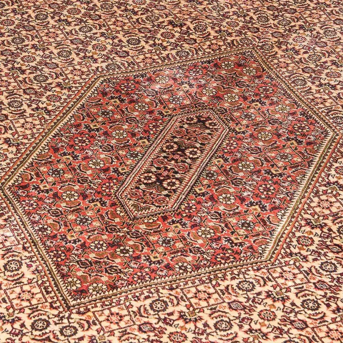 Persisk matta - Bijar - 290 x 177 cm - orange