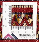 Runner Turkaman-matta - 100 x 50 cm - röd