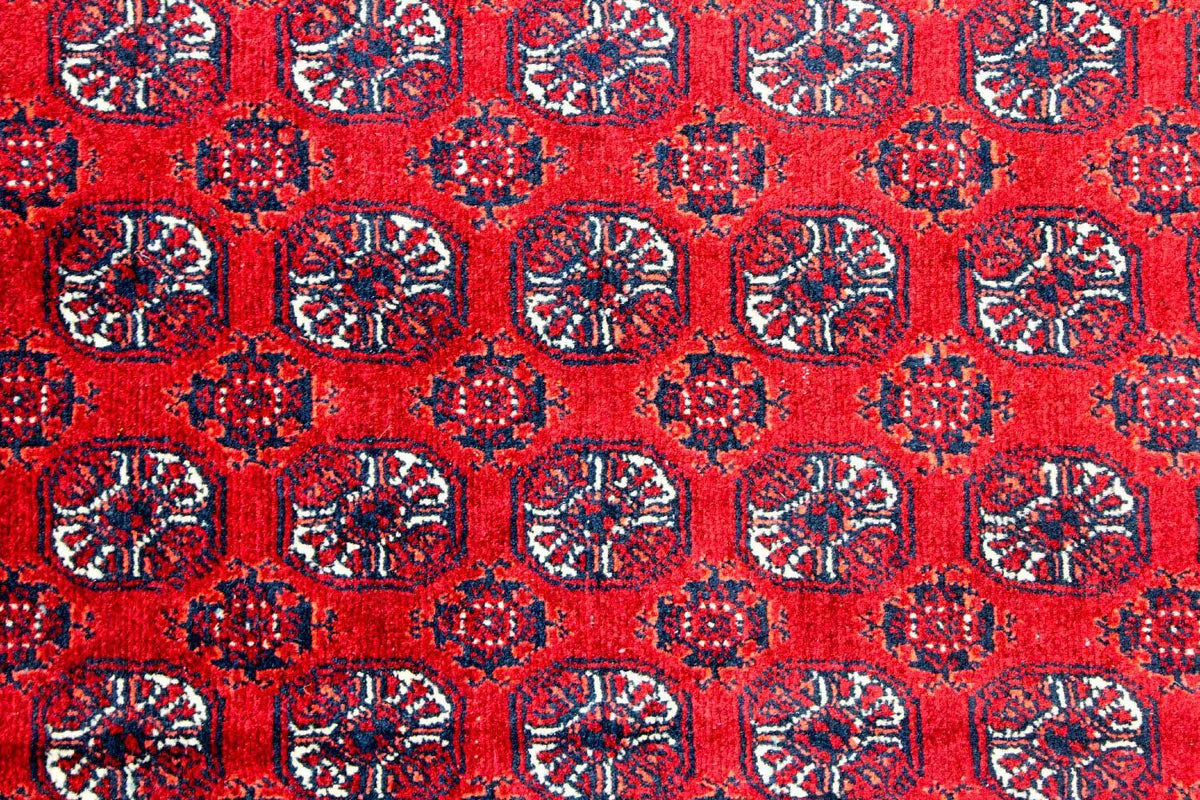 Afghansk matta - Bukhara - 300 x 195 cm - röd