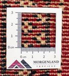 Runner Turkaman-matta - 100 x 50 cm - röd