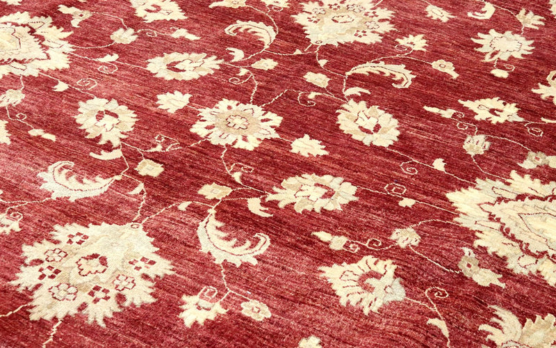 Ziegler Carpet - 567 x 421 cm - röd