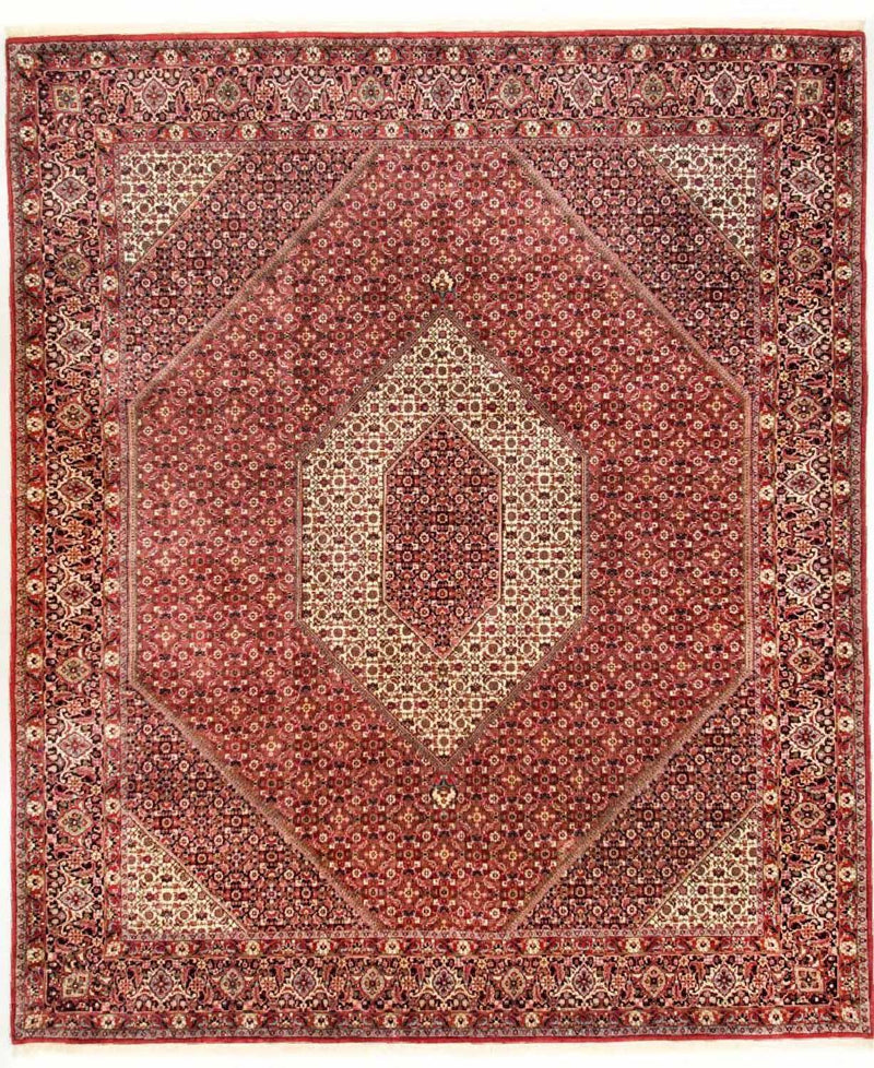Persisk matta - Bijar - Royal - 310 x 250 cm - beige