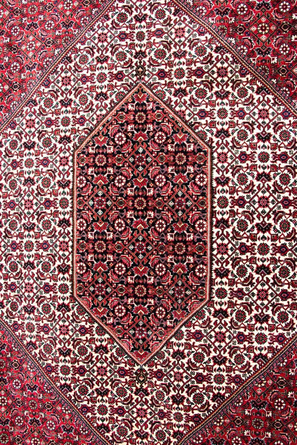 Persisk matta - Bijar - Royal - 310 x 250 cm - beige