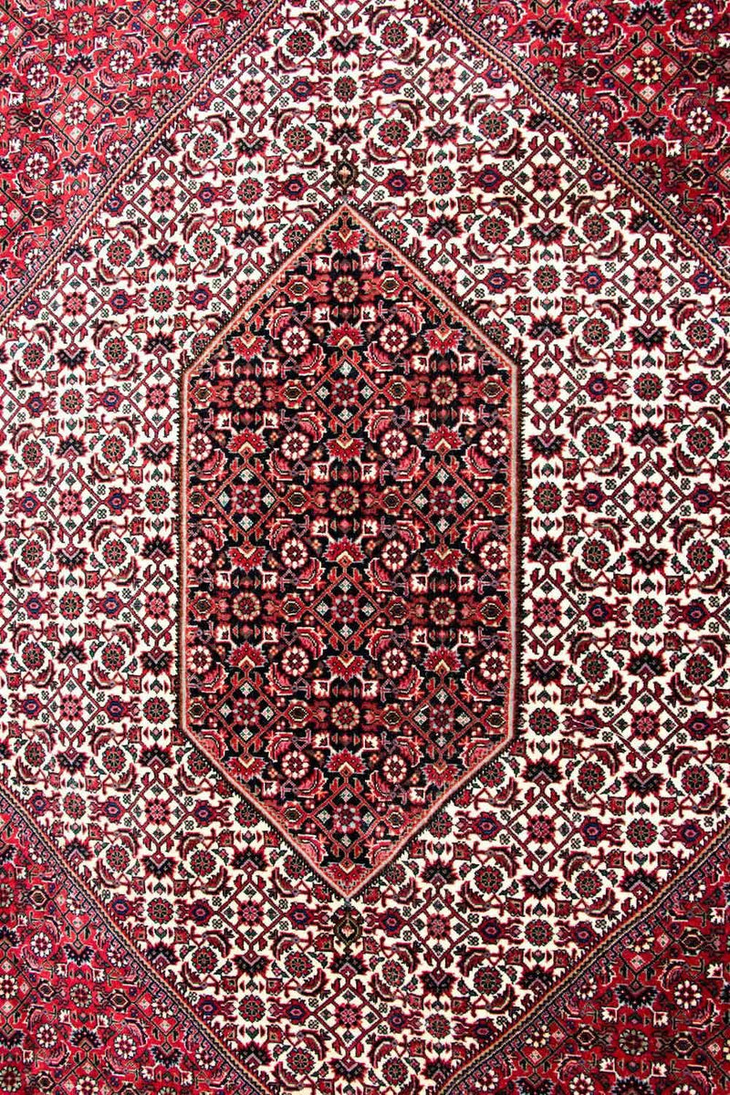 Persisk matta - Bijar - Royal - 310 x 250 cm - beige