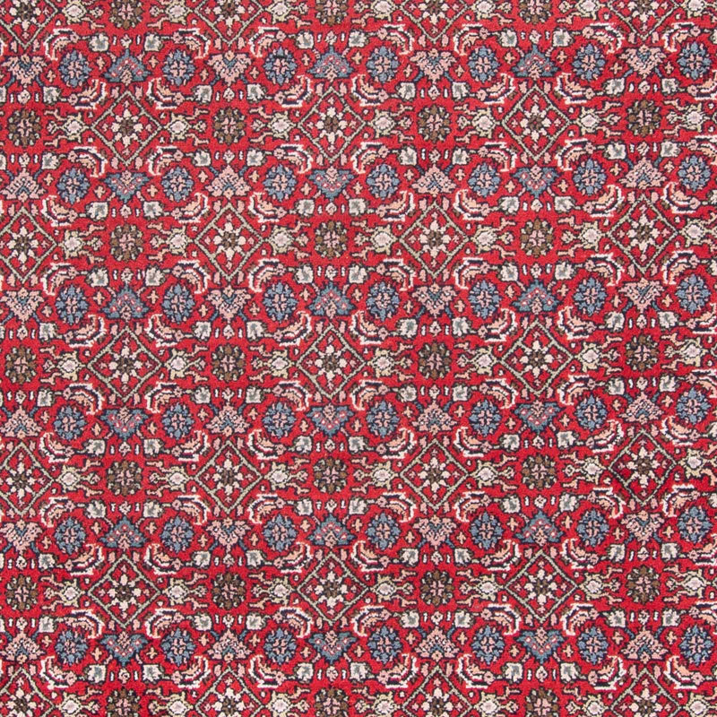 Orientaliska mattor - Bijar - Indus - 353 x 253 cm - röd