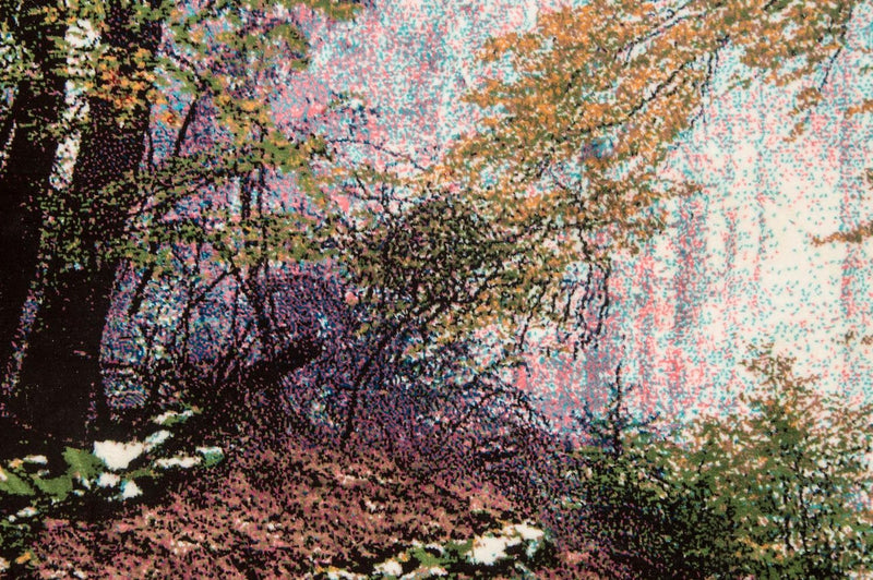 Bild-Teppich 113 x 64 cm Teppichbrücke