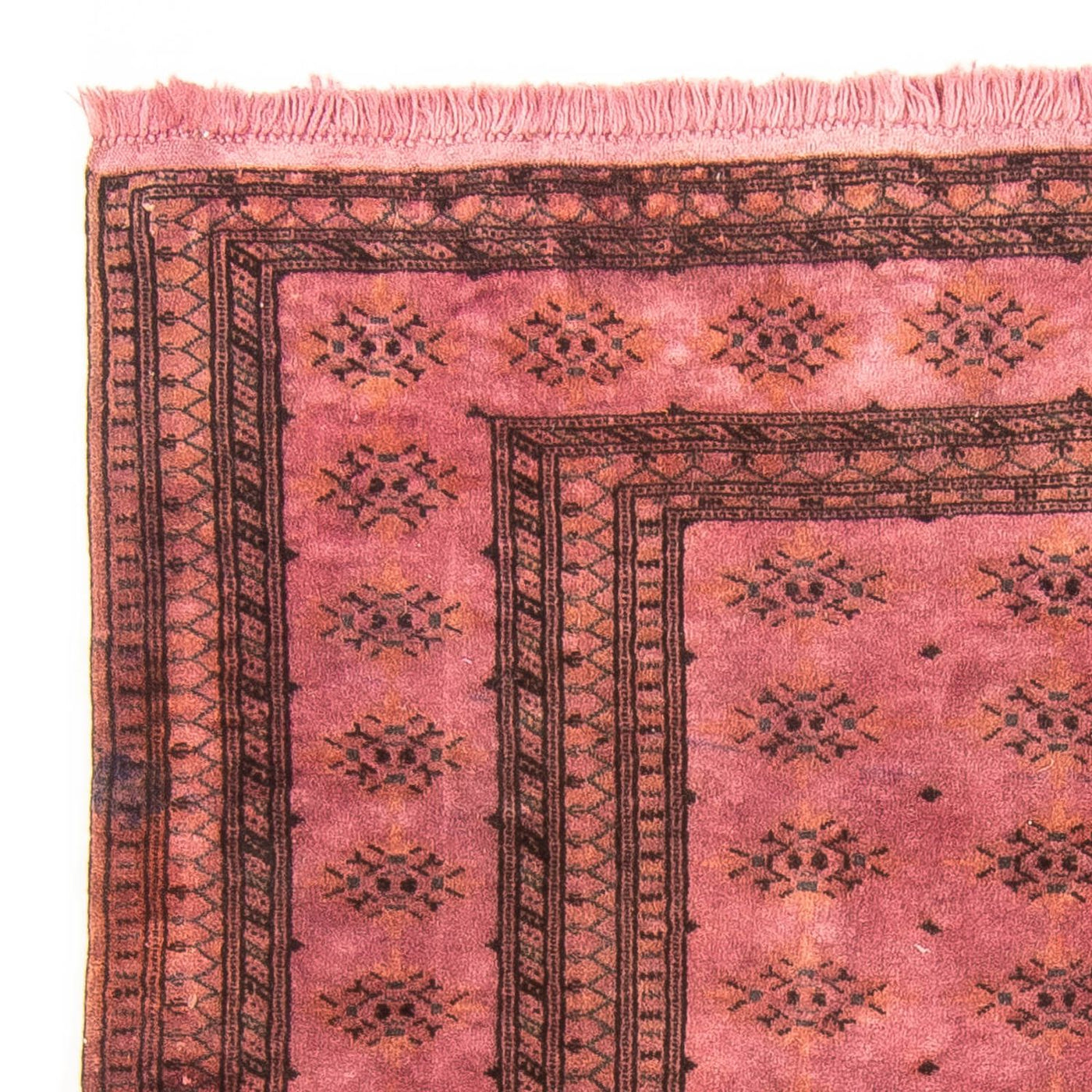 Pakistanska mattan 165x131cm - Persisk matta