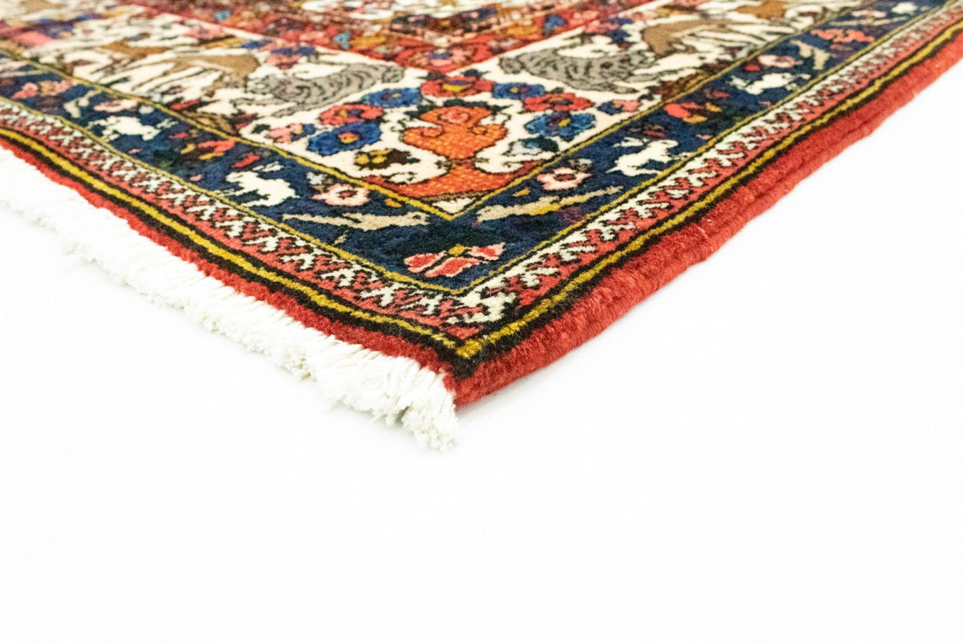 Bakhtiari Mattan 315x207cm - Persisk matta
