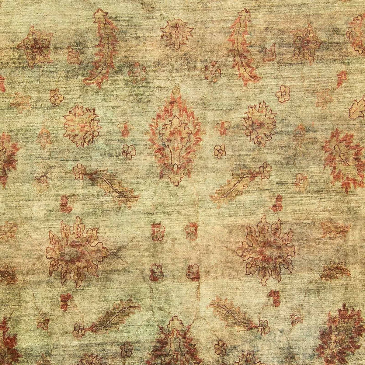 Ziegler Carpet - 283 x 215 cm - grön