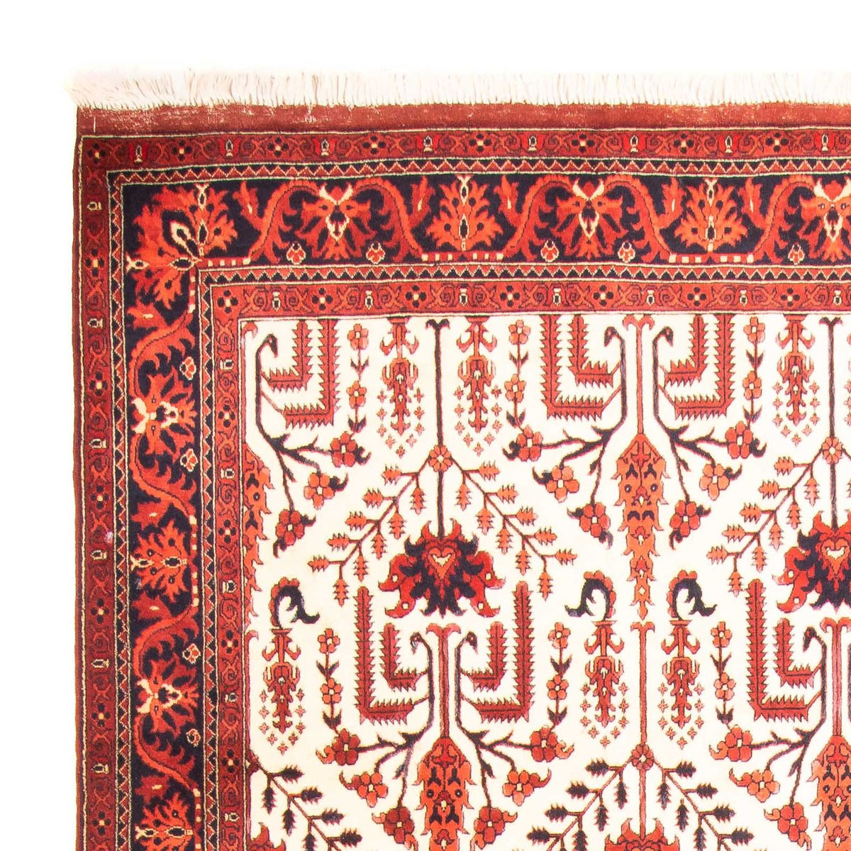 Afghansk matta - 270 x 186 cm - beige