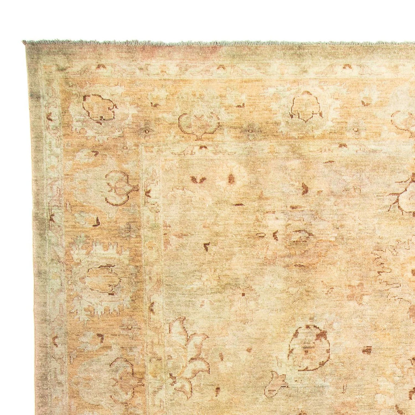 Ziegler Carpet 287x240cm - Oriental Carpet