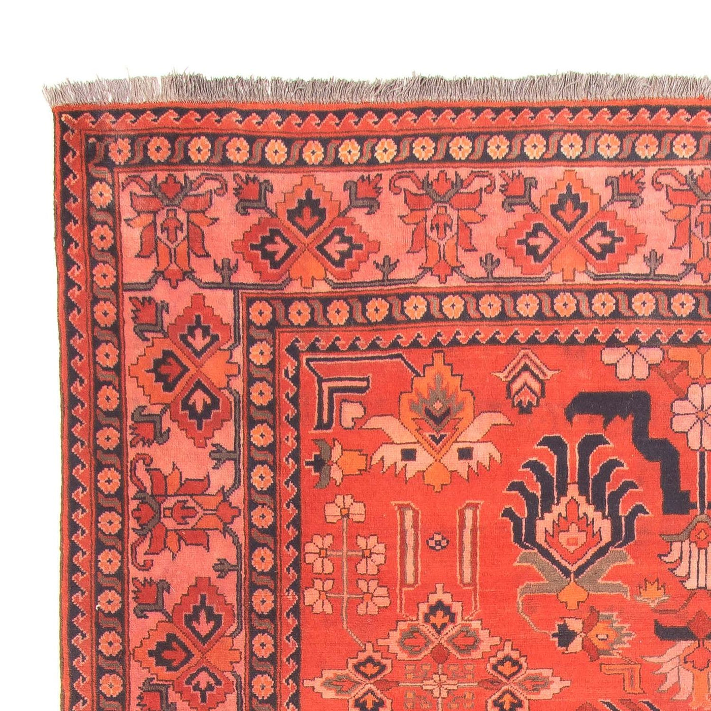 Hatchlu Mattan 280x200cm - Oriental Carpet