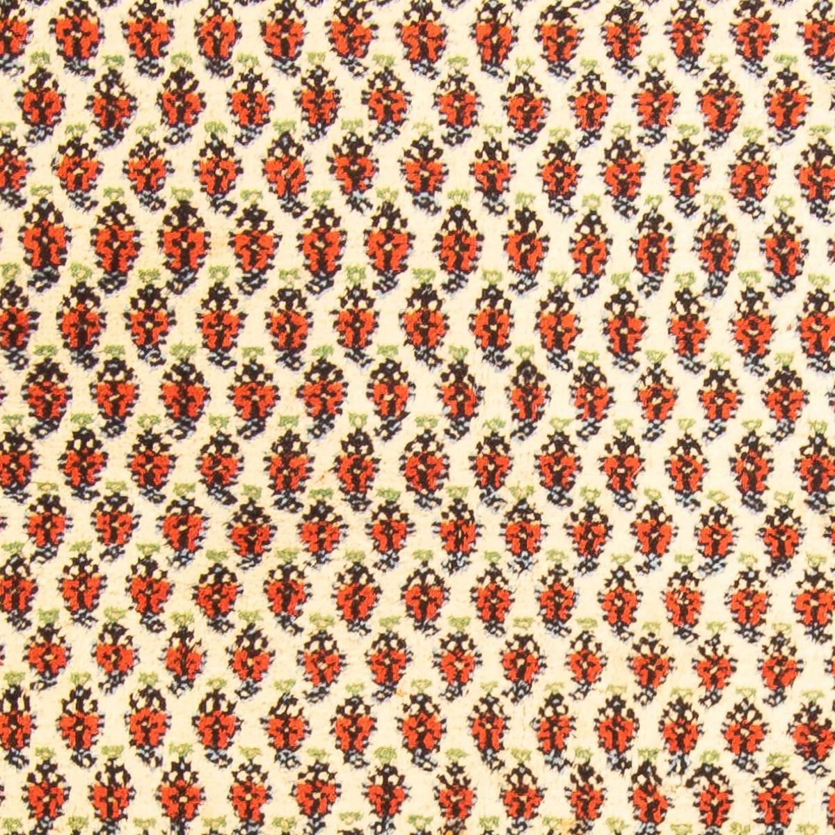 Orientalisk matta - Mir - Indus - 238 x 174 cm - beige