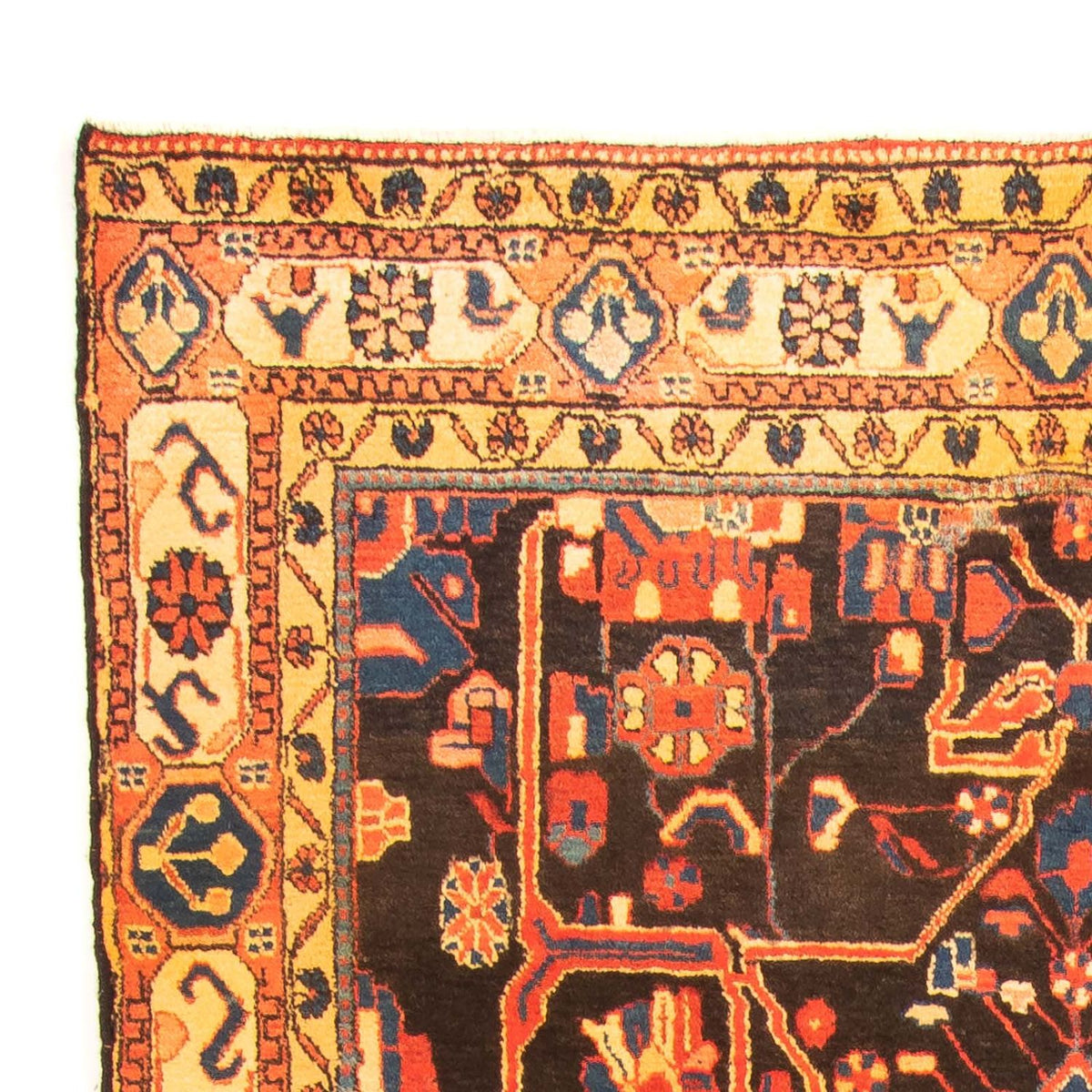 Persisk matta - Nomadic - 293 x 150 cm - flerfärgad