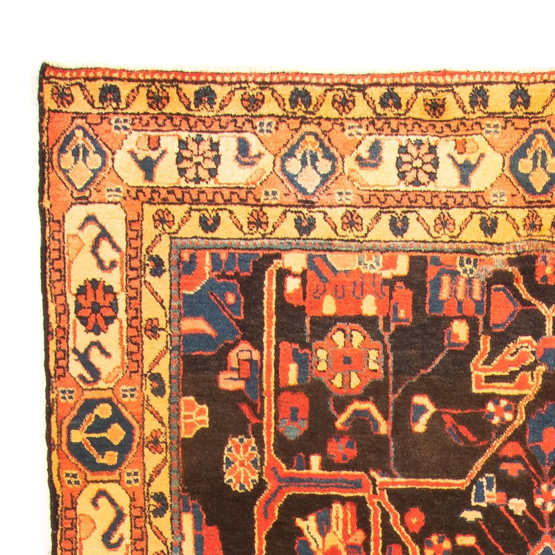 Persisk matta - Nomadic - 293 x 150 cm - flerfärgad