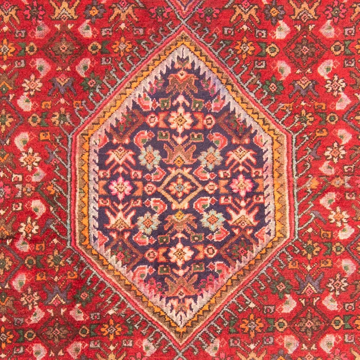 Runner Persisk matta - Bijar - Royal - 222 x 128 cm - ljusröd