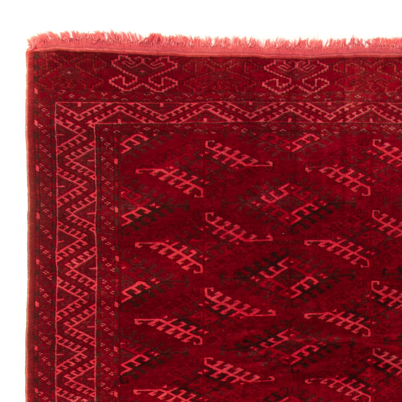 Afghansk matta 323x279cm - Oriental Carpet