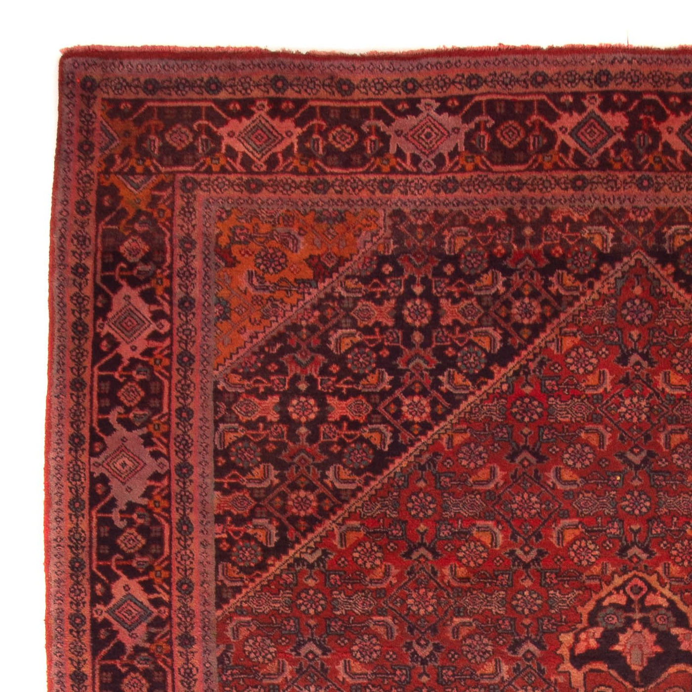 Bidjar - Takab Mattan 327x220cm - Persisk matta