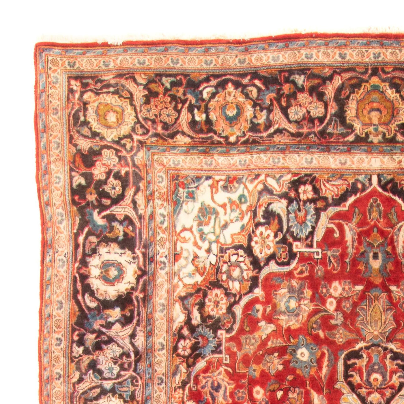 Kashan Mattan 322x183cm - Persisk matta
