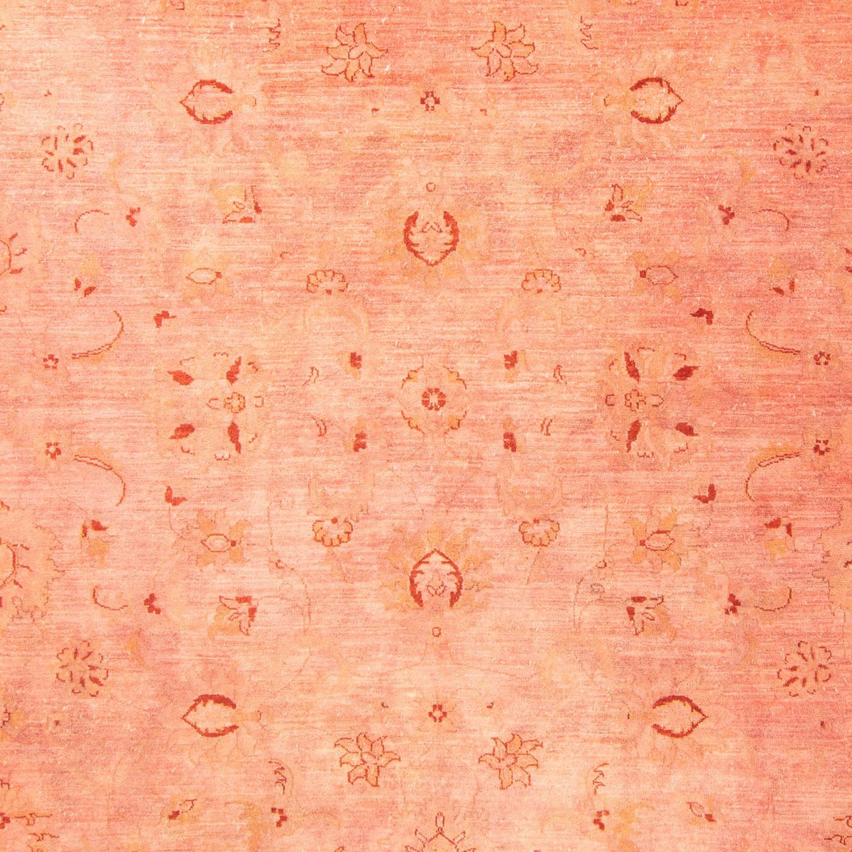 Ziegler Carpet - 300 x 242 cm - ljusröd