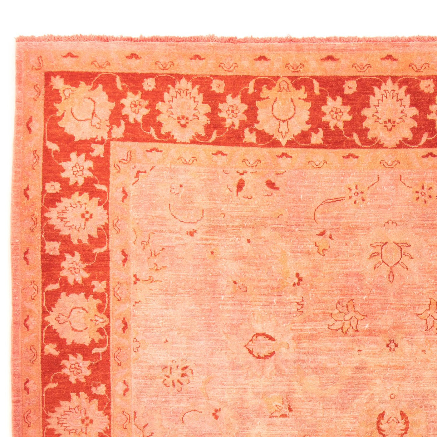Ziegler Carpet 300x242cm - Oriental Carpet