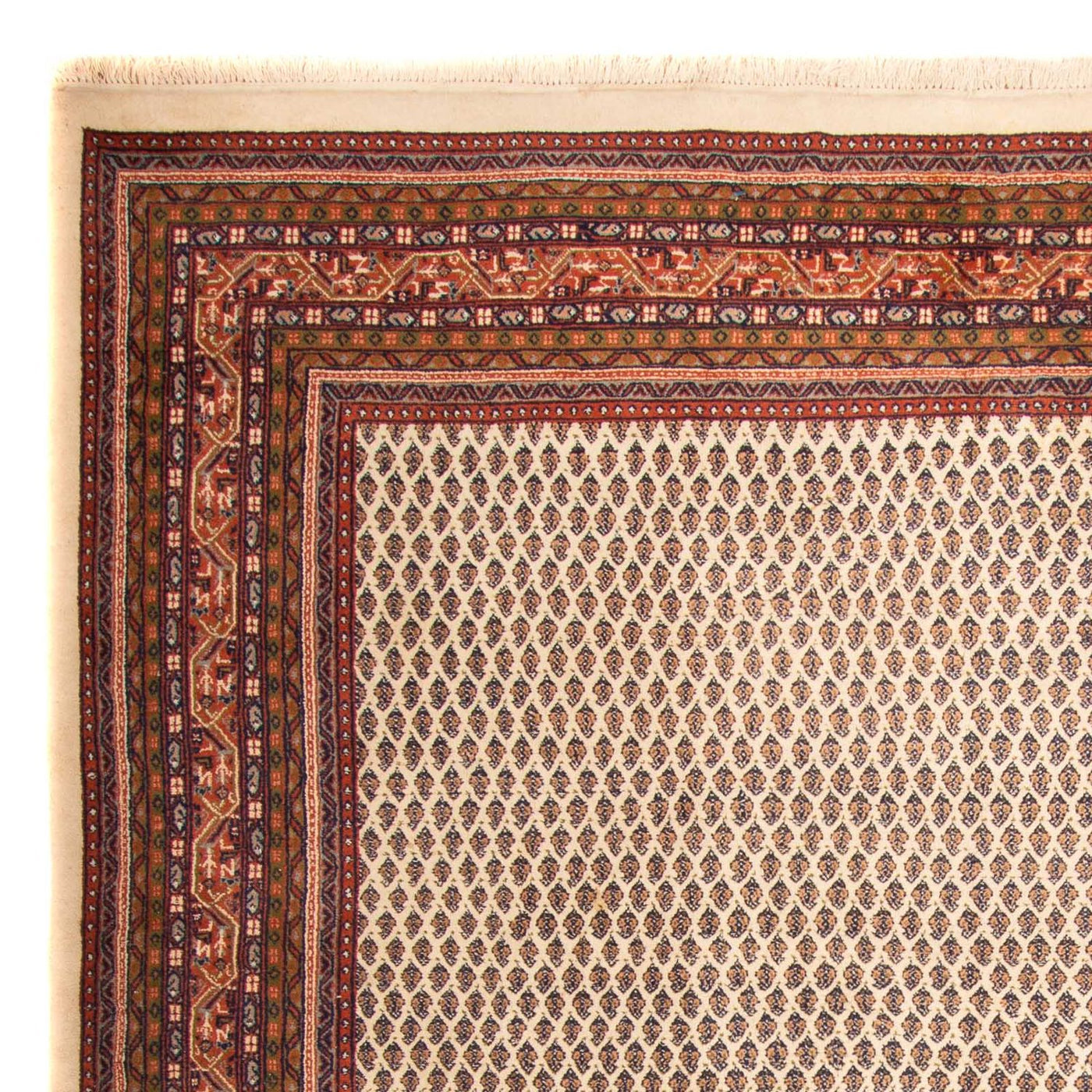 Indo Mir Mattan 344x244cm - Oriental Carpet