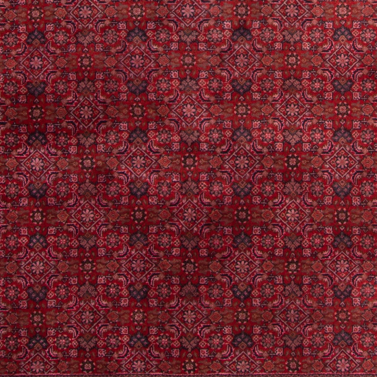 Orientaliska mattor - Bijar - Indus - 300 x 200 cm - röd