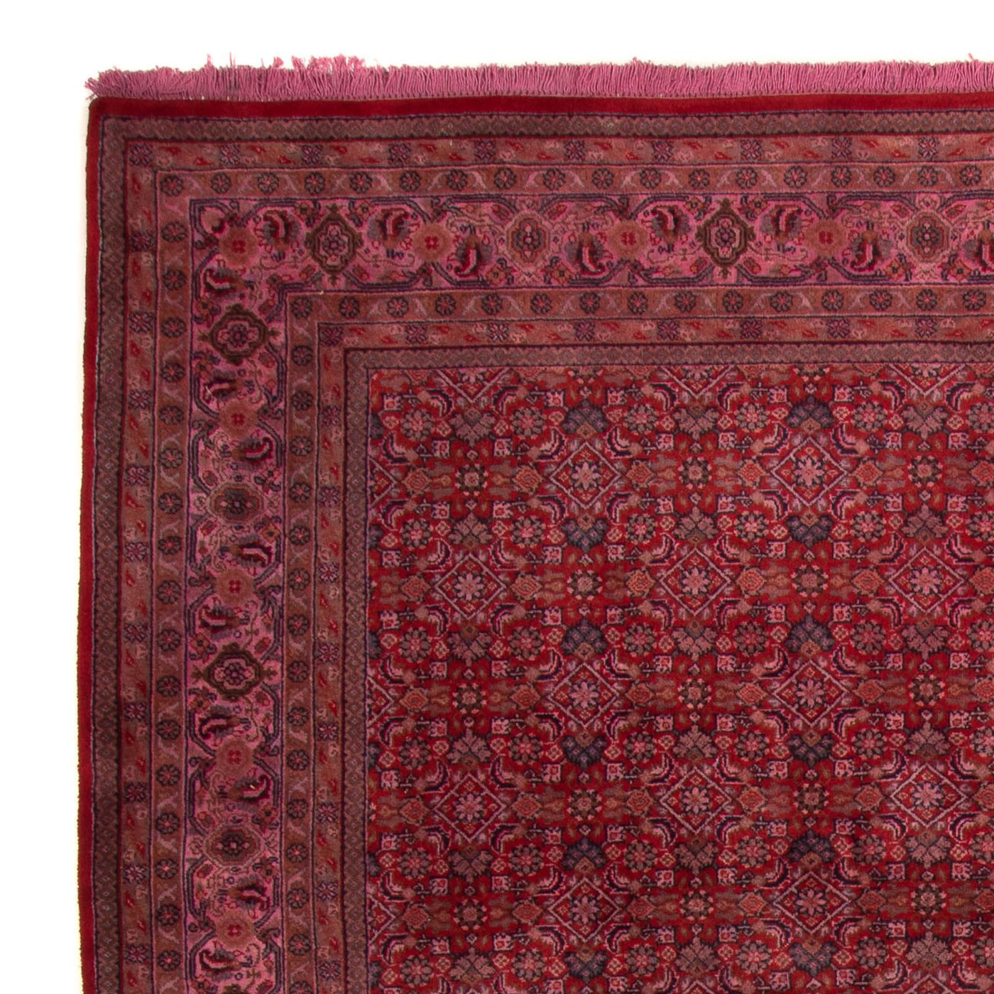 Indo Bidjar Mattan 300x200cm - Oriental Carpet