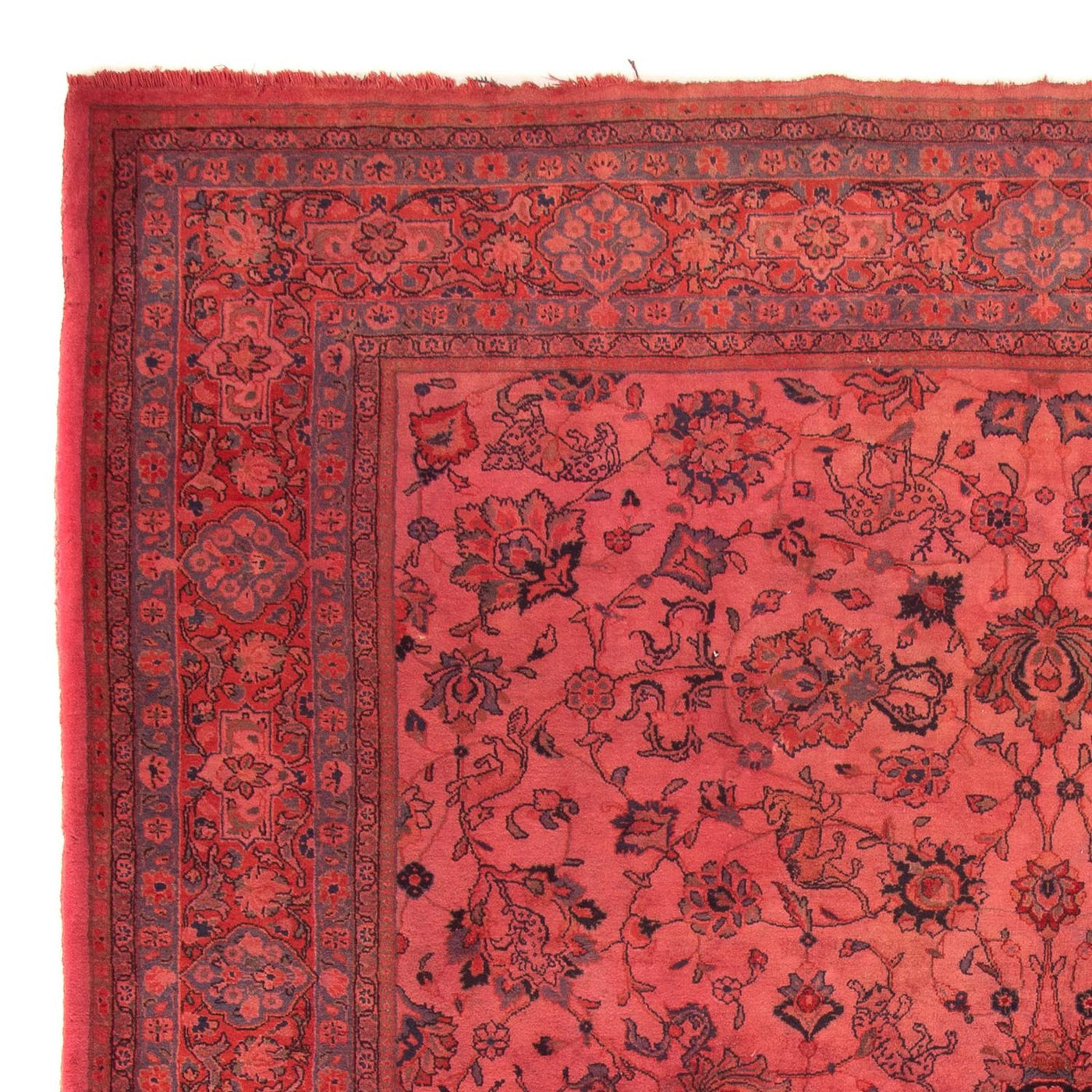 Sarouk Mattan 349x244cm - Persisk matta