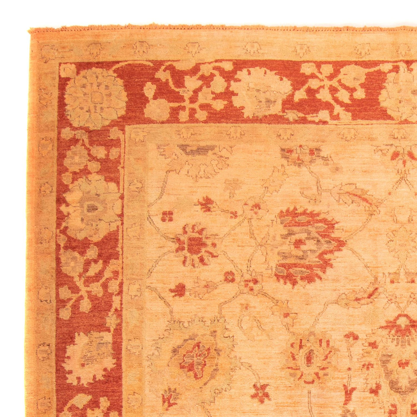 Ziegler Carpet - 300 x 200 cm - orange