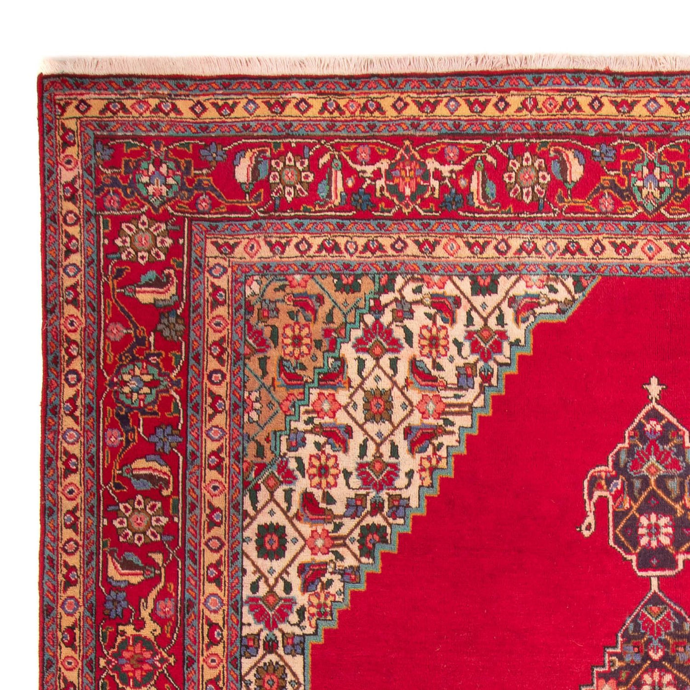 Mashhad Mattan 340x259cm - Persisk matta