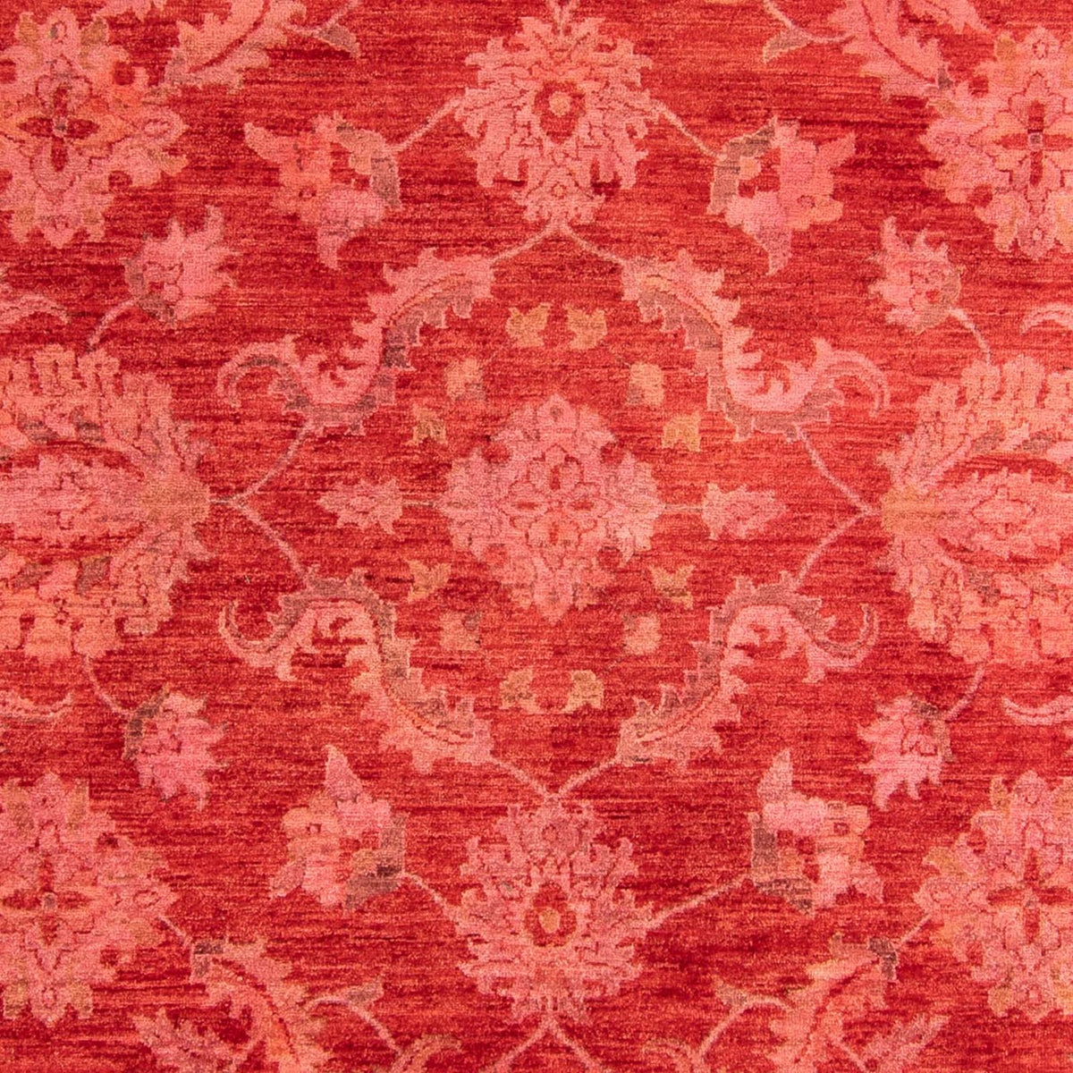 Ziegler Carpet - 350 x 222 cm - ljusröd