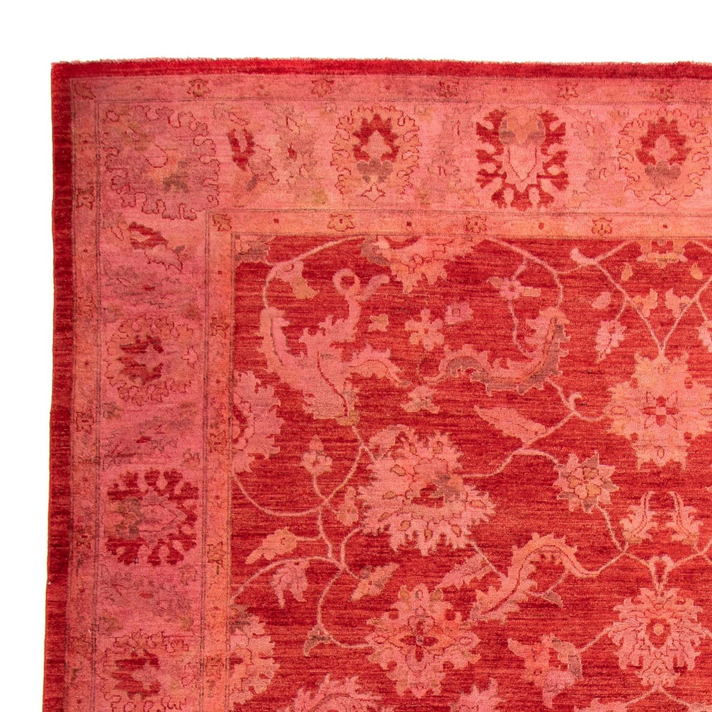Ziegler Carpet 350x222cm - Oriental Carpet