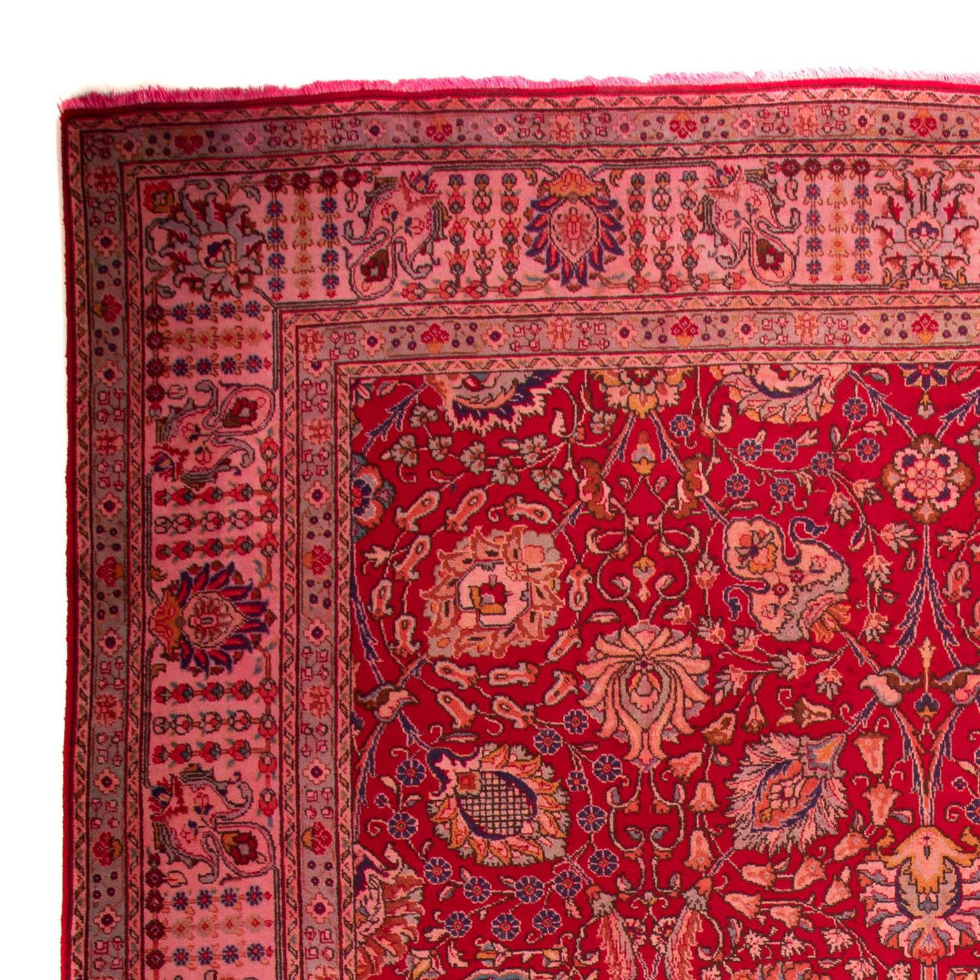Tabriz Mattan 380x300cm - Persisk matta