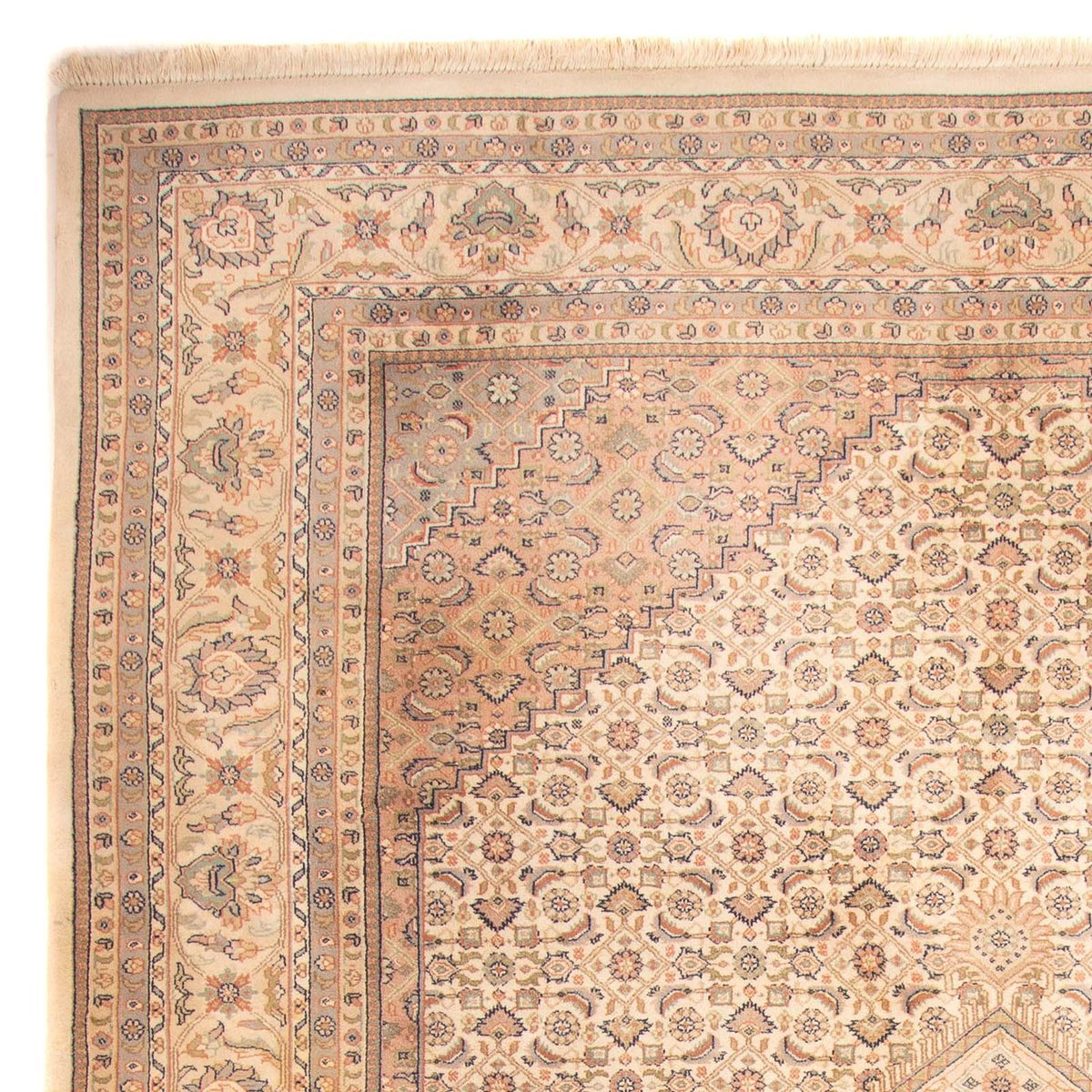 Orientaliska mattor - Bijar - Indus - 350 x 250 cm - beige