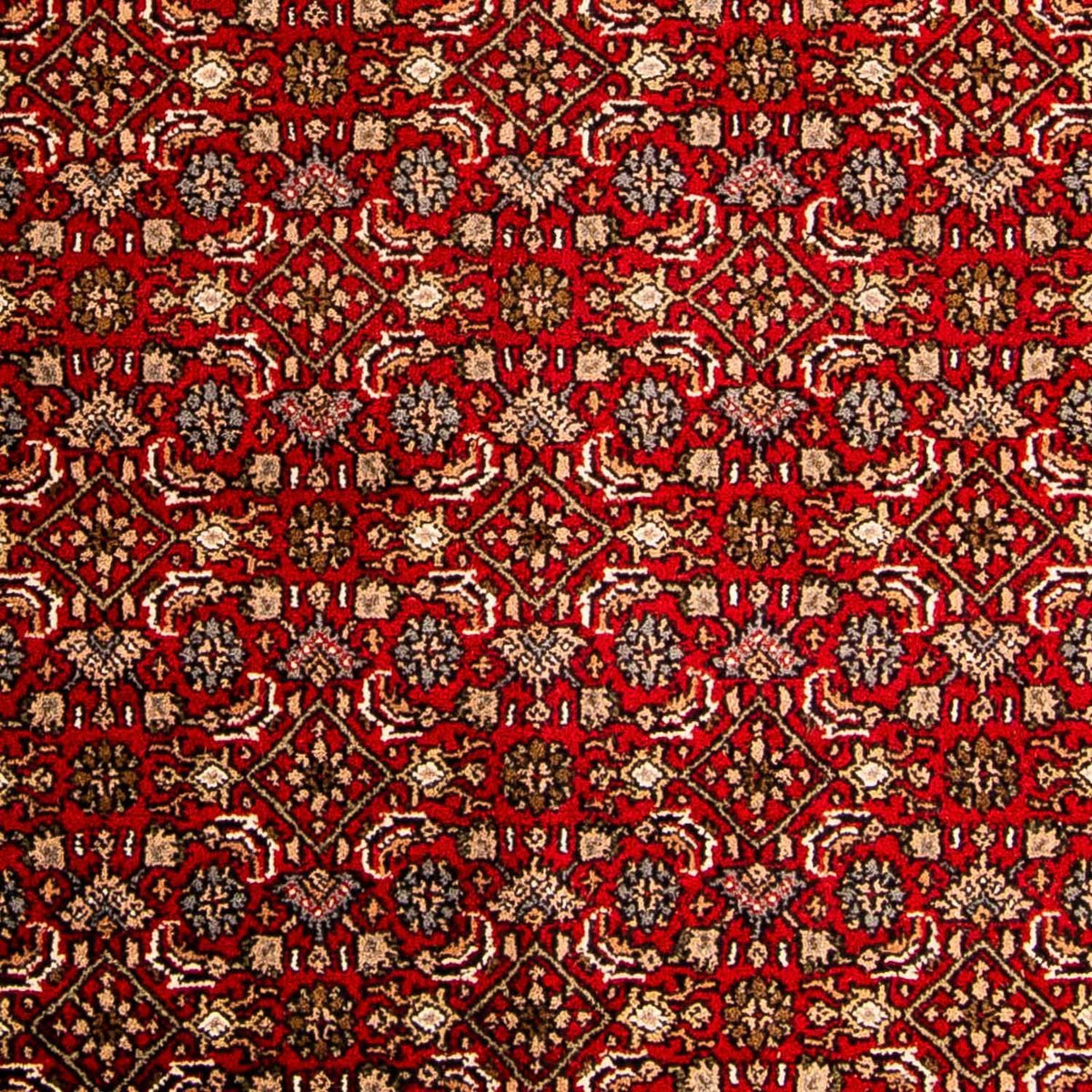 Orientaliska mattor - Bijar - Indus - 300 x 200 cm - röd