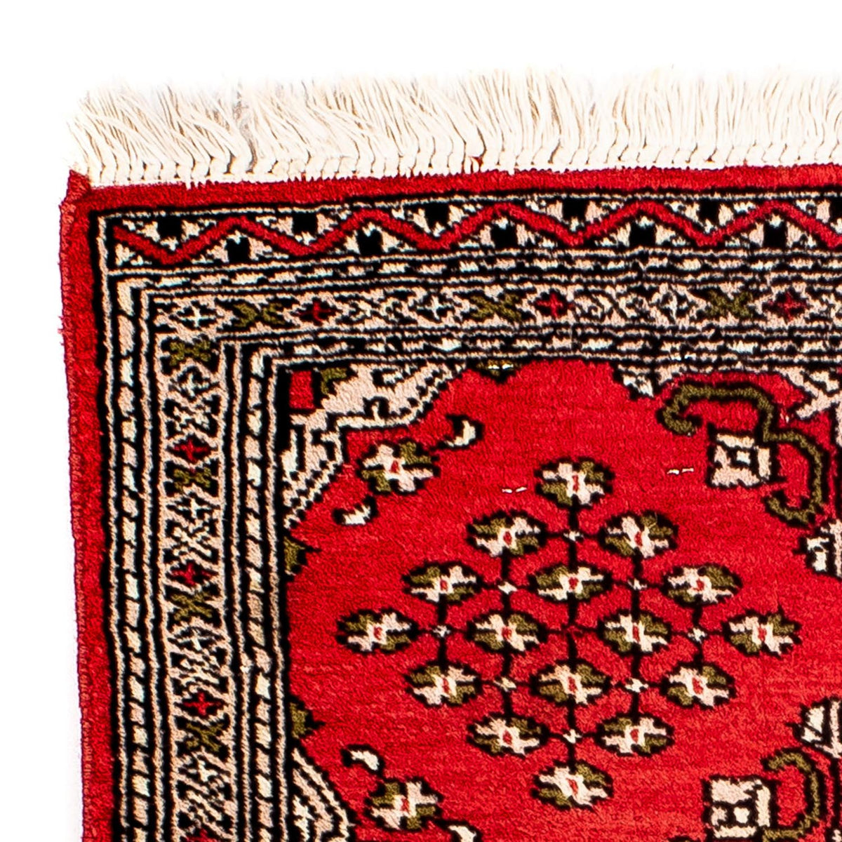 Pakistanska mattan 62x63cm - Oriental Carpet