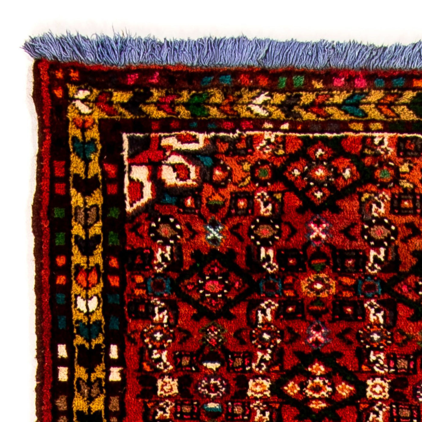 Runner Persisk matta - Nomadic - 320 x 70 cm - rost